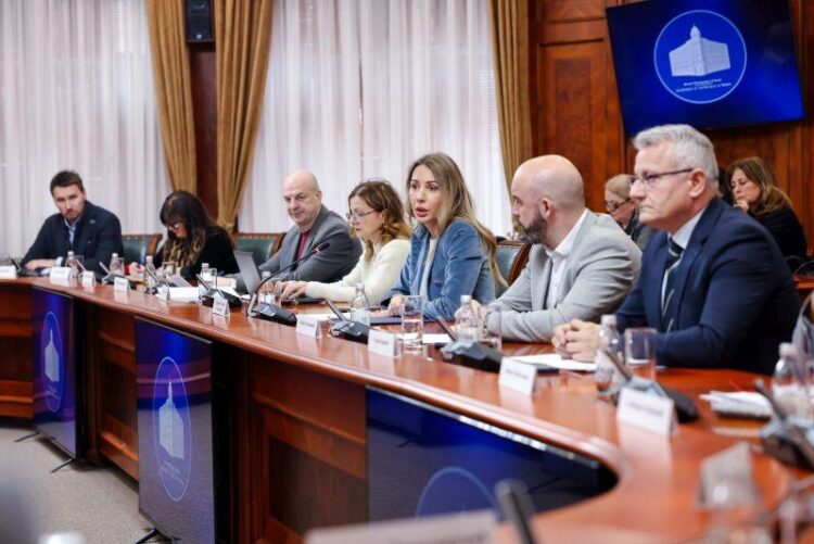 Foto: srbija.gov.rs/Nenad Kostić