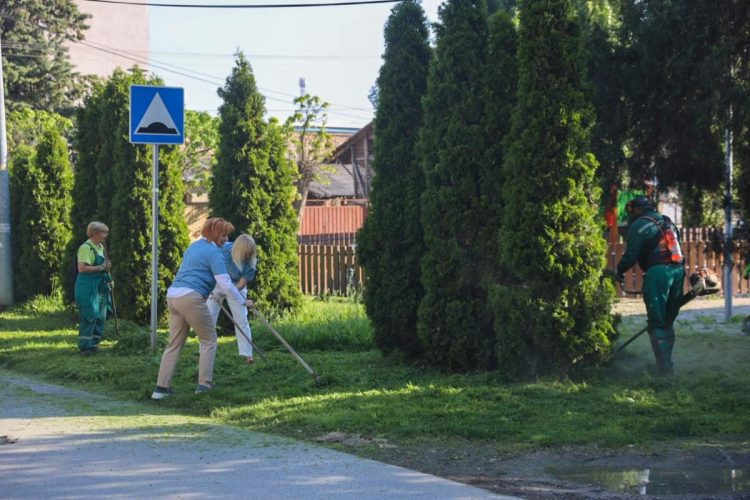 Foto: novisad.rs