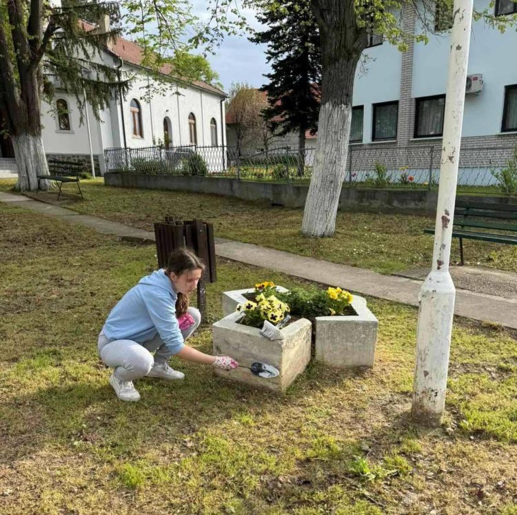 Sirôtky hneď krajšie kvitnú... (foto: Nataša Rojková)