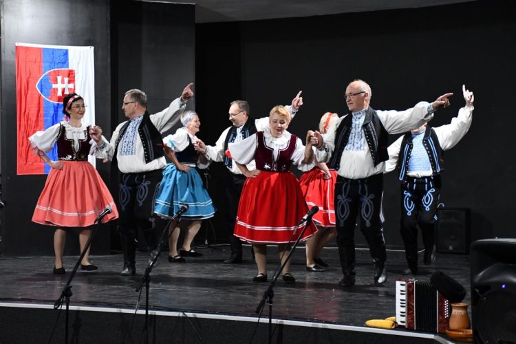 Seniori z novosadského Šafárika