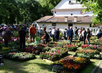 Festival kvetín 2025 v Hložanoch