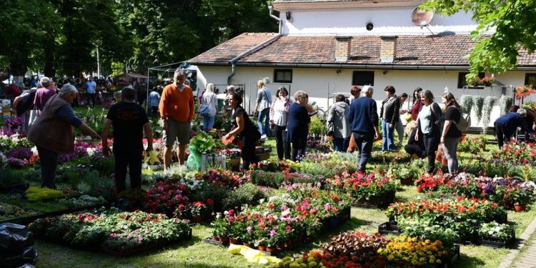 Festival kvetín 2025 v Hložanoch