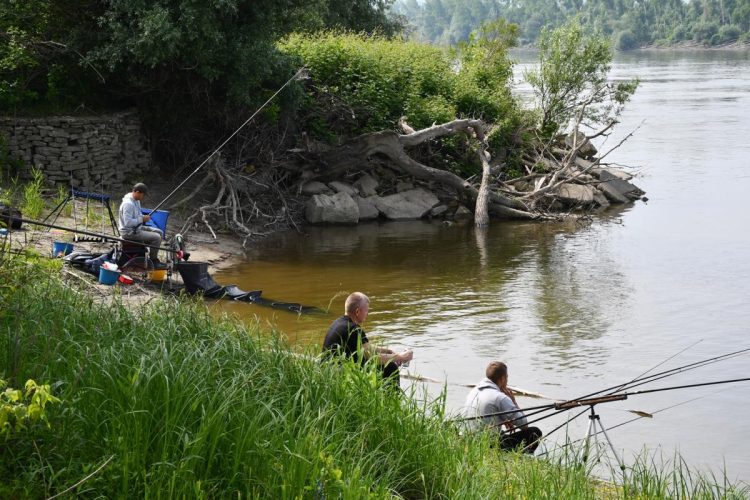 Na Dunaji súťažili rybári