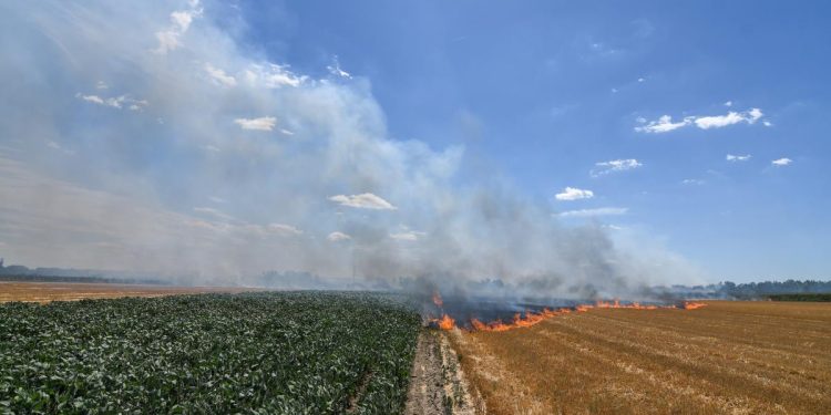 Foto: J. Pániková