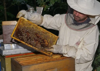 Včelár Ján Durgala z Padiny (Foto: z archívu J. Durgalu)