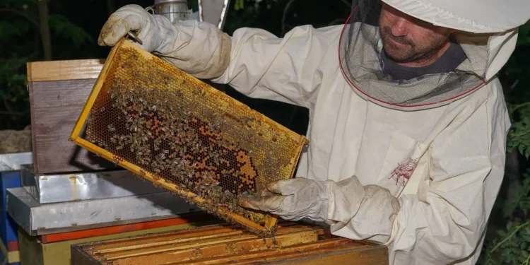 Včelár Ján Durgala z Padiny (Foto: z archívu J. Durgalu)
