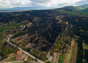 Foto: srbija.gov.rs