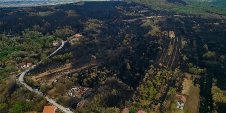 Foto: srbija.gov.rs
