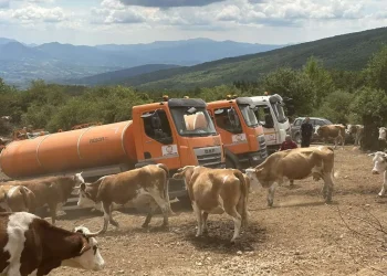 Foto: srbija.gov.rs