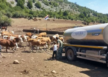 Foto: srbija.gov.rs