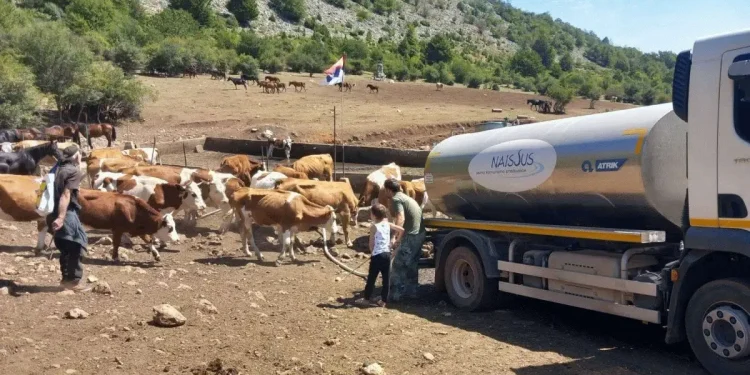 Foto: srbija.gov.rs