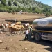Foto: srbija.gov.rs