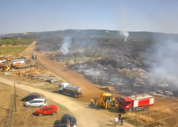 Foto: srbija.gov.rs