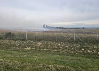 Foto: srbija.gov.rs
