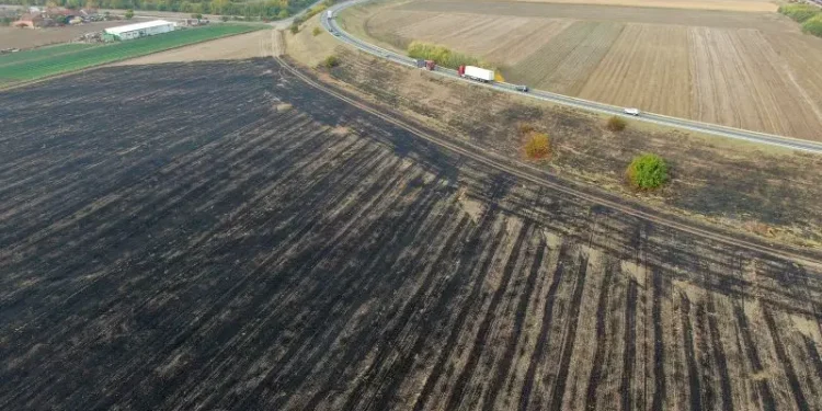 Foto: srbija.gov.rs