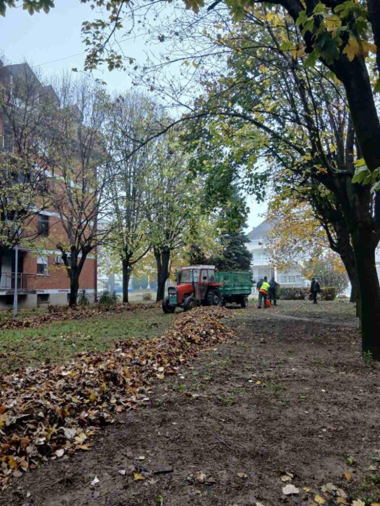 Nazbierané lístie pravidelne odstraňujú a likvidujú predpísaným spôsobom (foto: VKP Čistoća Stará Pazova)