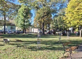 Foto: VKP Čistoća Stará Pazova