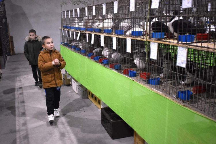 Veľký záujem majú aj deti