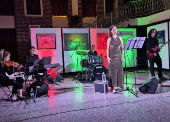 Záber z koncertu v Starej Pazove  