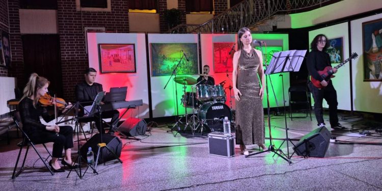 Záber z koncertu v Starej Pazove  