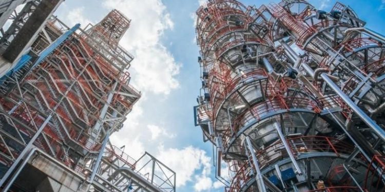 Foto: instagram.com/dubravka.djedovic/