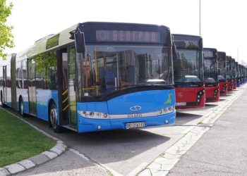 Autobusy, ktoré Mesto Belehrad darovalo Obci Stará Pazova (foto: z archívu Obce Stará Pazova)