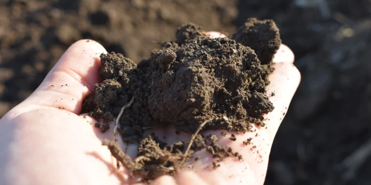 Vojvodinská pôda je čoraz chudobnejšia na humus