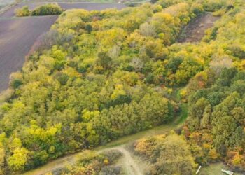 Foto: Spoločnosť pre ochranu a výskum vtáctva Srbska