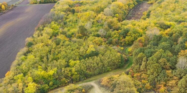 Foto: Spoločnosť pre ochranu a výskum vtáctva Srbska