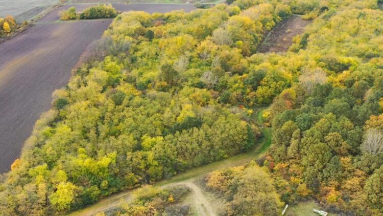 Foto: Spoločnosť pre ochranu a výskum vtáctva Srbska