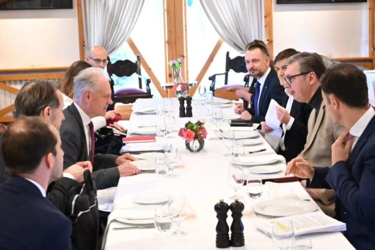 Foto: FB/buducnostsrbijeavucic