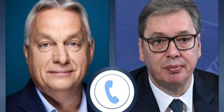 Foto: FB/buducnostsrbijeavucic