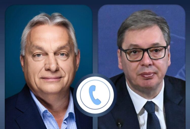 Foto: FB/buducnostsrbijeavucic