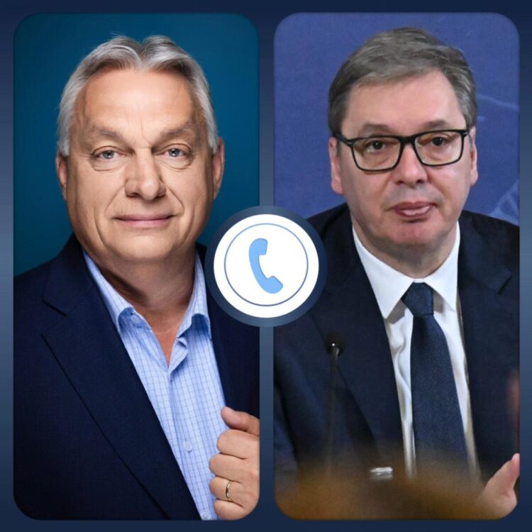 Foto: FB/buducnostsrbijeavucic