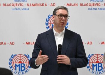 Foto. facebook.com/buducnostsrbijeavucic