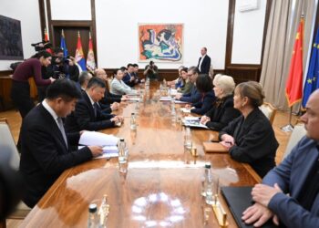 Foto: FB/buducnostsrbijeavucic