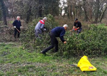 Foto: D. Plachtinský