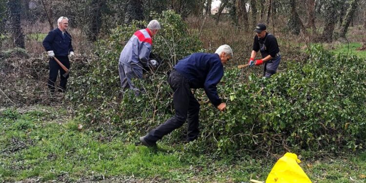 Foto: D. Plachtinský