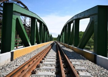 Foto: facebook.com/buducnostsrbijeavucic