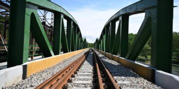 Foto: facebook.com/buducnostsrbijeavucic