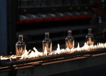 Foto: facebook.com/buducnostsrbijeavucic