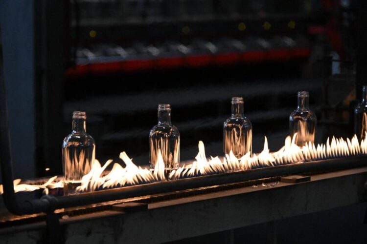 Foto: facebook.com/buducnostsrbijeavucic