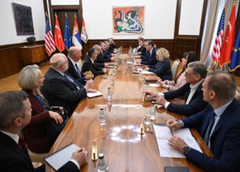 Foto: FB/buducnostsrbijeavucic