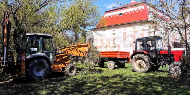 Foto: D. Plachtinský   