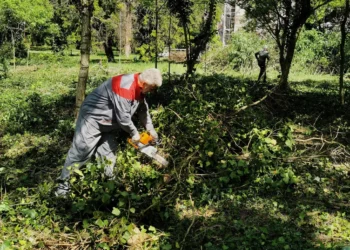 Foto: D. Plachtinský