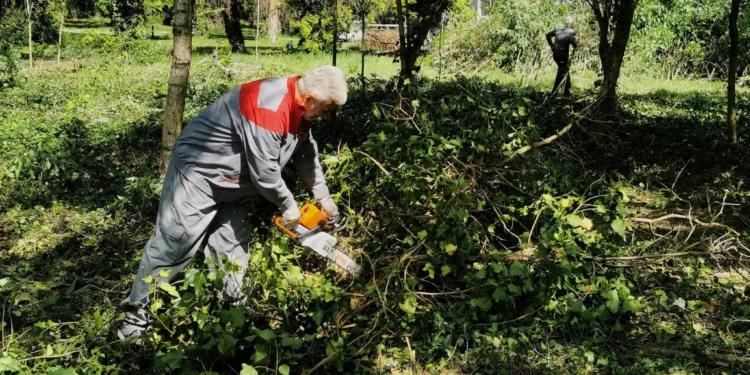 Foto: D. Plachtinský