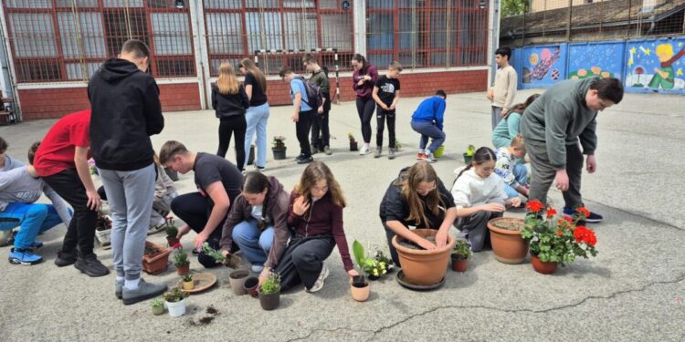 Akcia sadenia kvetov