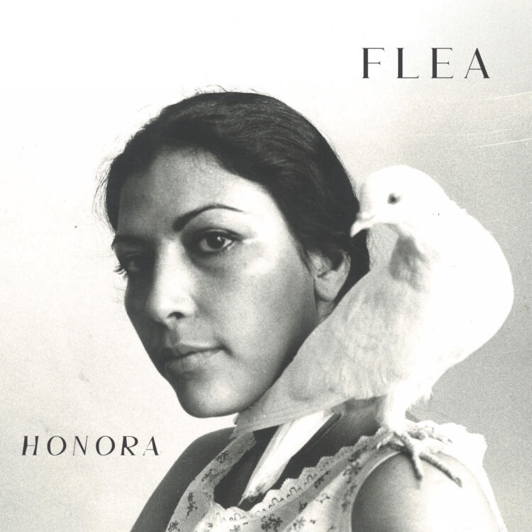 Obal vydania Honora (Foto: Nonesuch Records/promo)  