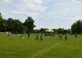 Triagonál vo Vrbare