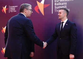 Foto: facebook.com/buducnostsrbijeavucic
